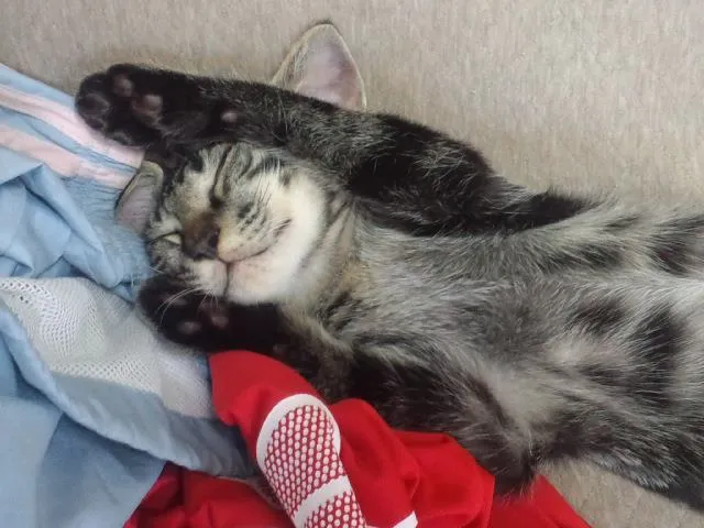 小さな一歩　私の起業体験から