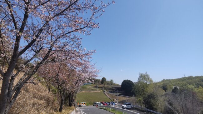 3か月で4kg減量に成功。食事か運動か。